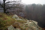 grafika